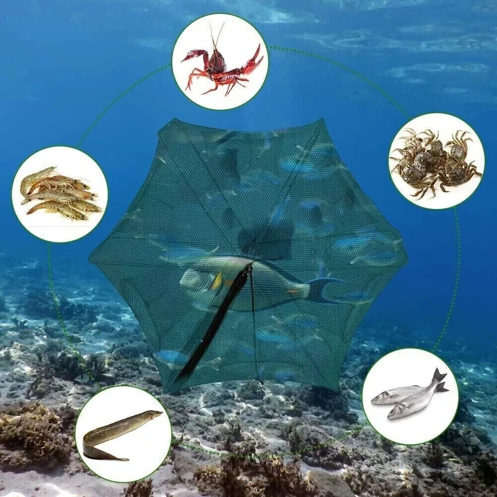 Faltbare Fischfalle mit 6 Eingängen – Reuse aus Nylon für Fische, Garnelen und Krebse inklusive 6 m Seil