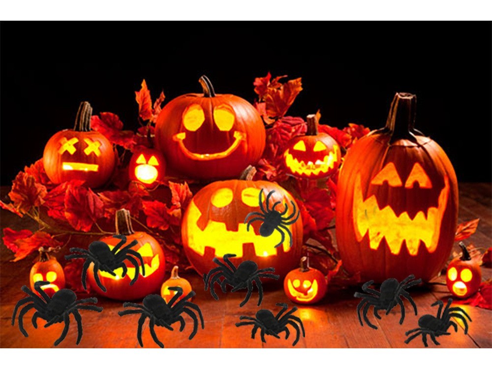 Halloween Spinnen Deko Set 4 Stück – Realistische Schwarze Gruselspinnen 11 cm
