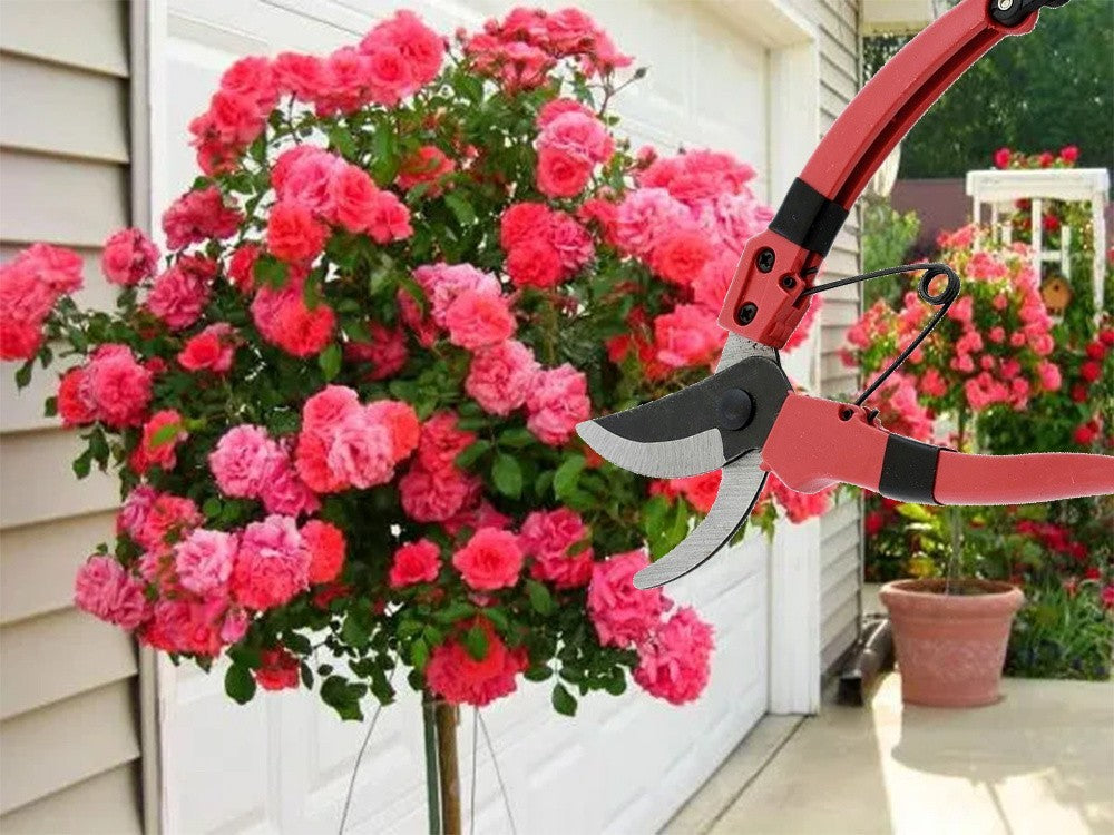 Gartenschere Handschere Pflanzenschere Strauchschere mit Sicherheitsverschluss   5907451356487