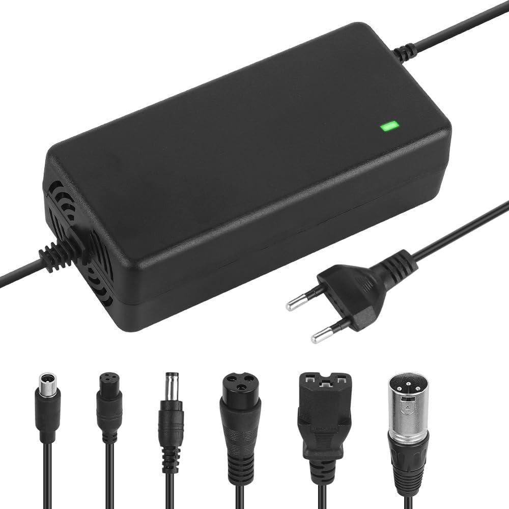 54.6V 2A Ladegerät E Scooter E Bike Hoverboard 6 Stecker Akku Charger 🔋