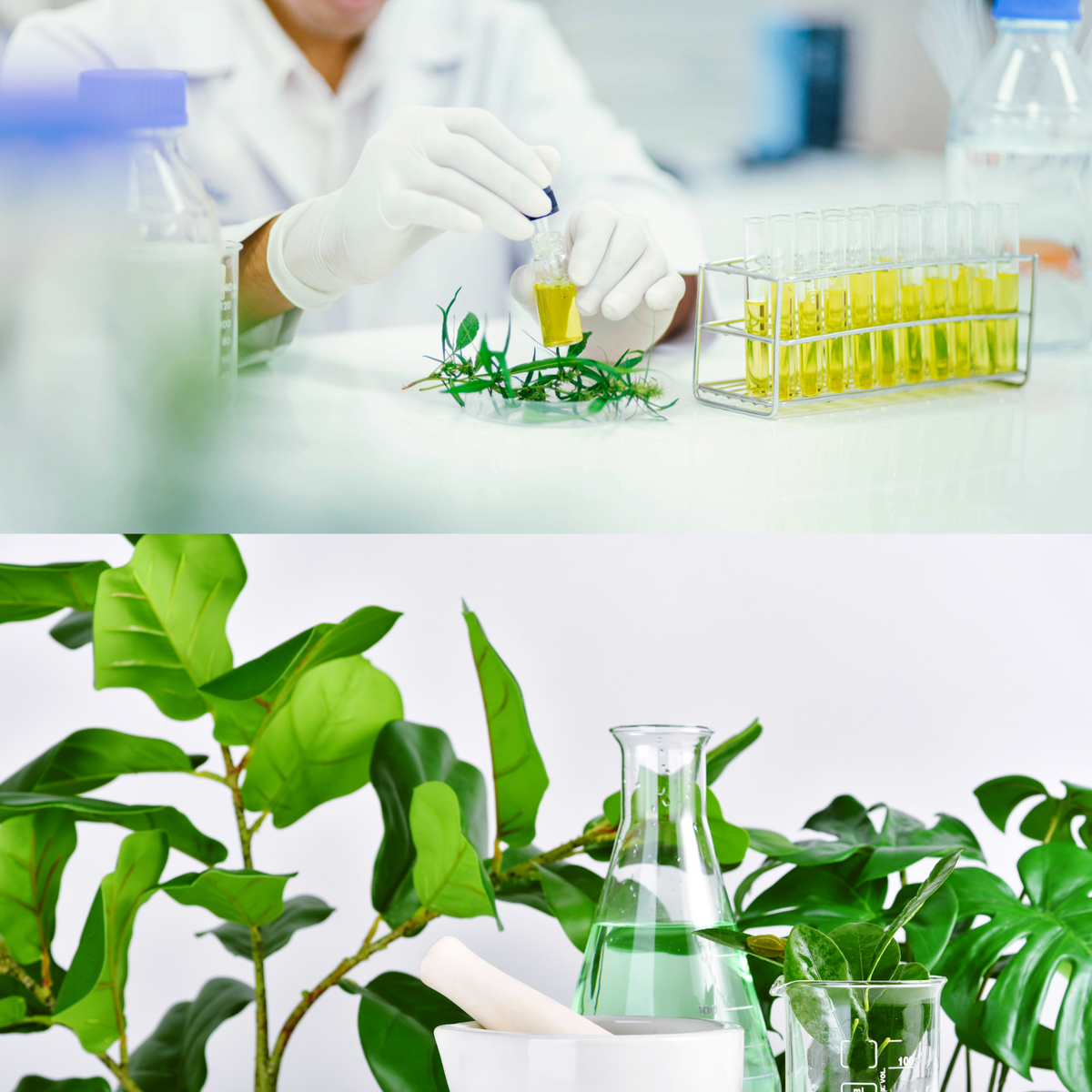 TIENS CoQ10 & Quercetin Kapseln mit Vitamin-B-Komplex, D3, K2 & E