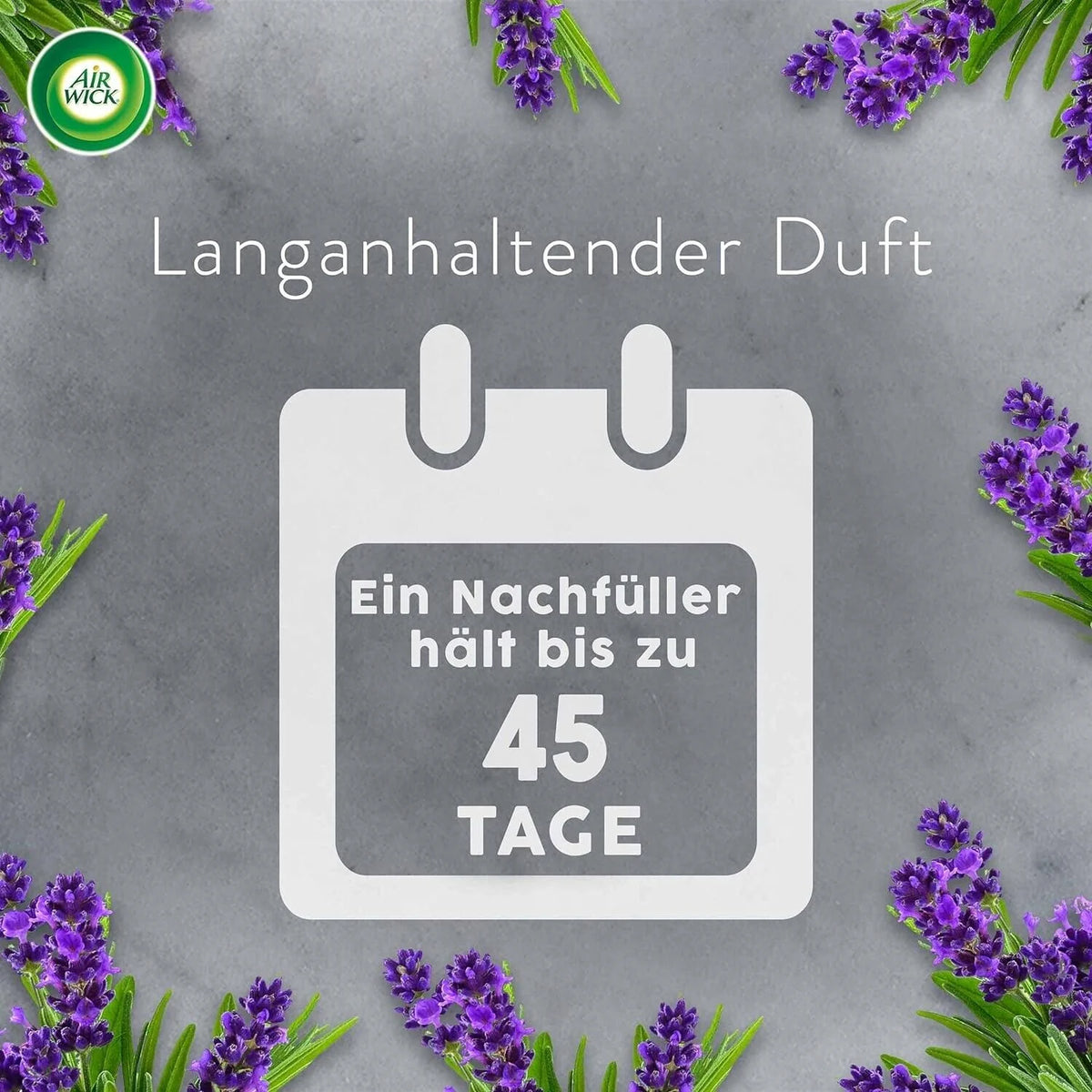 Air Wick Aroma-Öl Starter Set Lavendel – Diffuser mit 2 × 20 ml Duftöl-Nachfüllern