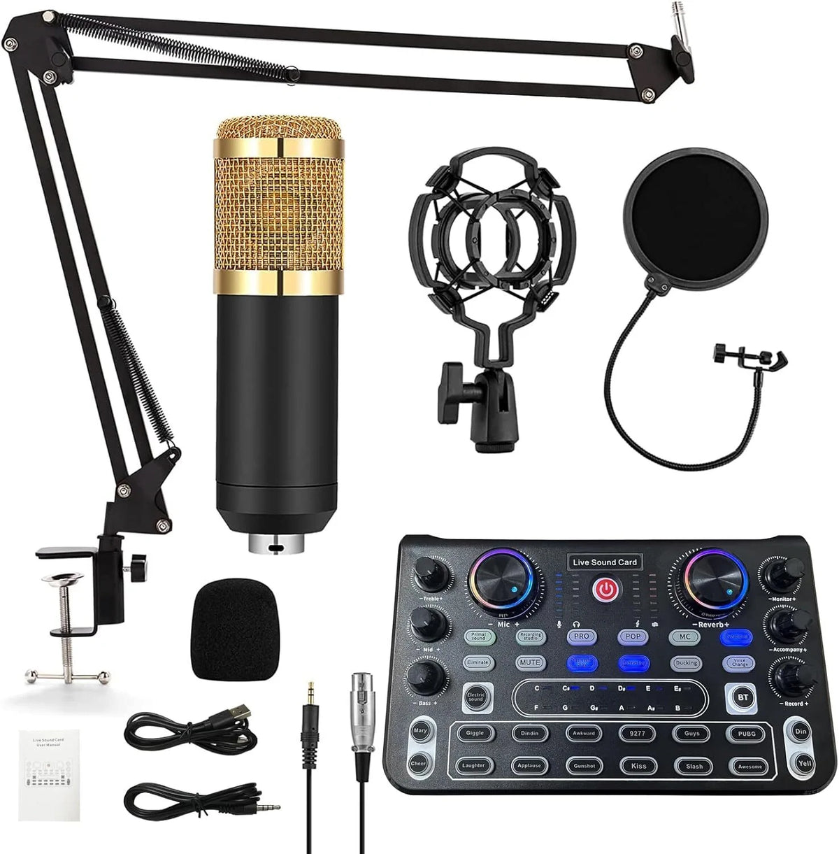DJ Controller Set Soundkarte mit Mikrofon für PC Karaoke Podcast Streaming