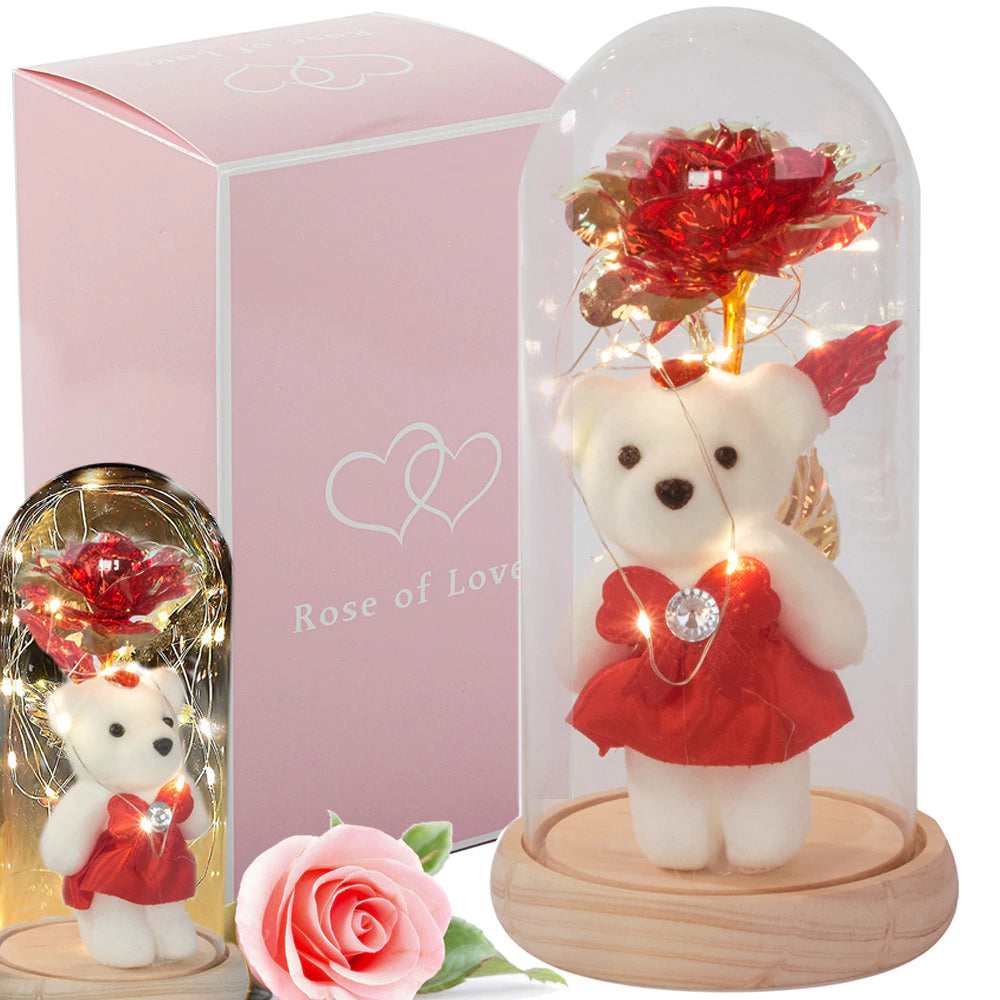 LED Ewige Rose im Glas mit Teddybär romantisches Geschenk für Frauen