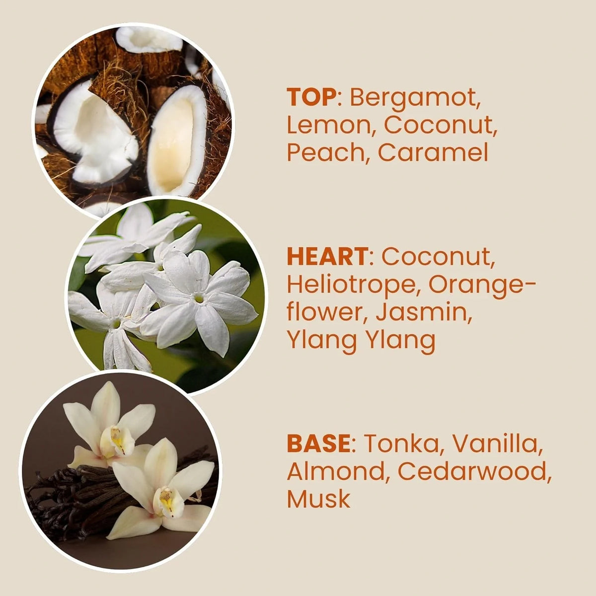 Jean & Len Haarparfum you’re my coco vanilla – Kokos & Vanille, vegan und ohne Silikone