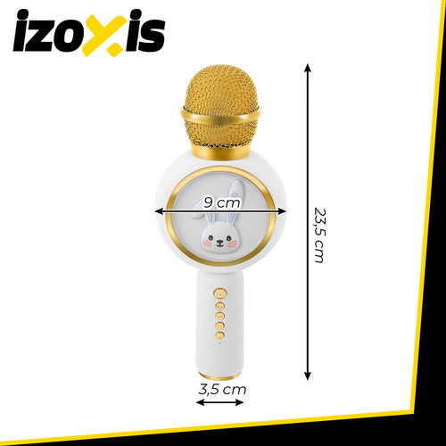 Bluetooth Karaoke Mikrofon Lautsprecher Echo Stimmverzerrer FM Radio