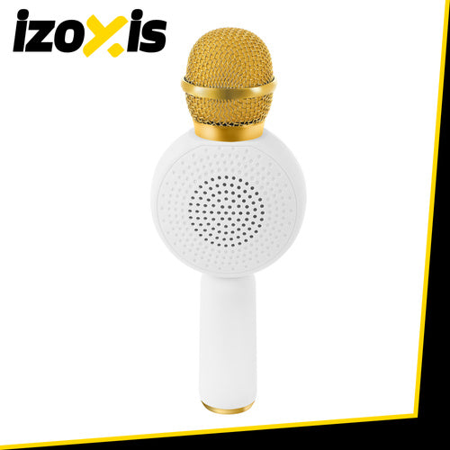 Bluetooth Karaoke Mikrofon Lautsprecher Echo Stimmverzerrer FM Radio