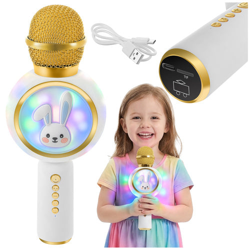 Bluetooth Karaoke Mikrofon Lautsprecher Echo Stimmverzerrer FM Radio