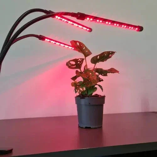 Retoo Pflanzenlampe LED 30 W mit 60 LEDs – Wachstumslampe mit 3 Armen, 3/9/12H Timer, 9 Helligkeitsstufen & USB