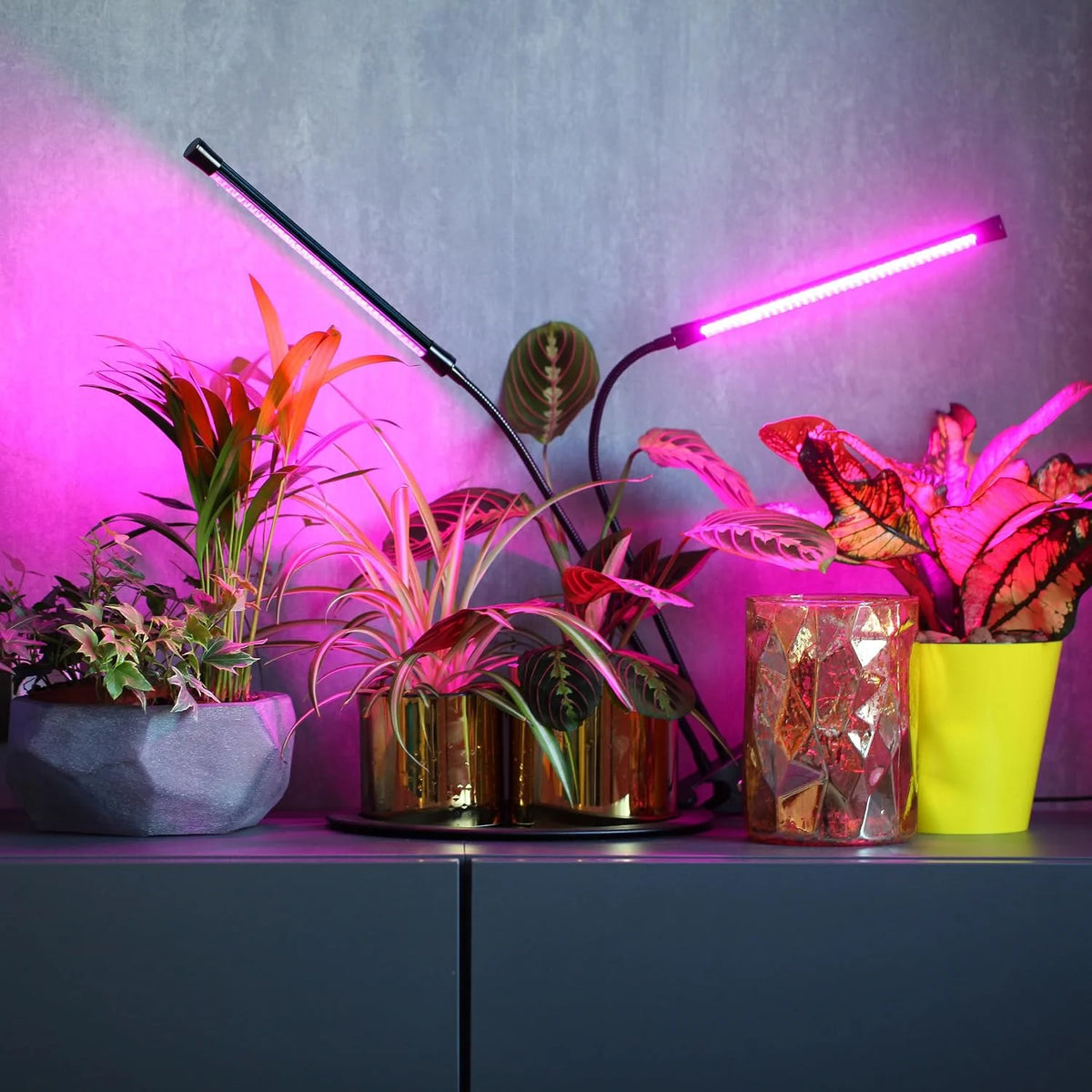 Retoo Pflanzenlampe LED 30 W mit 60 LEDs – Wachstumslampe mit 3 Armen, 3/9/12H Timer, 9 Helligkeitsstufen & USB