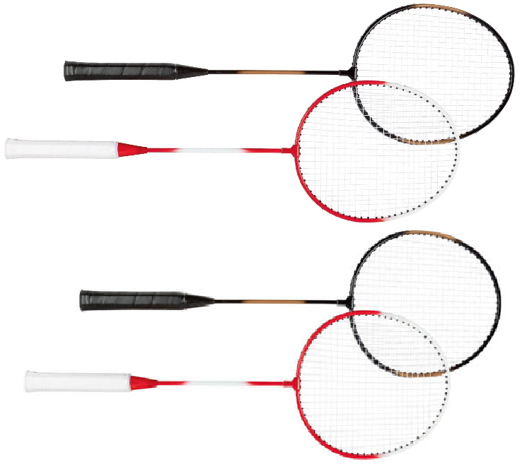 CRIVIT Badminton Set für 4 Personen inkl. Netz & Tasche – Outdoor Komplettset   k15badm